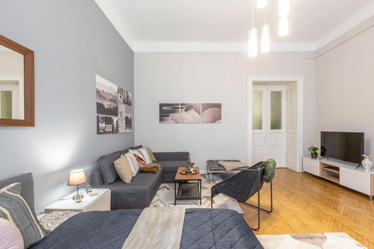 Spacious & Cozy Downtown Apartment With Balcony Budapeszt Zewnętrze zdjęcie