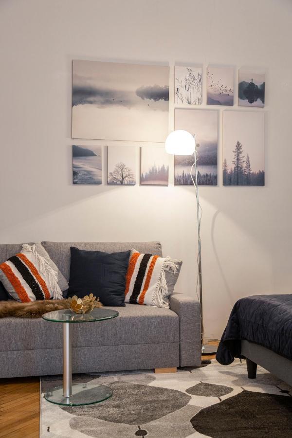 Spacious & Cozy Downtown Apartment With Balcony Budapeszt Zewnętrze zdjęcie